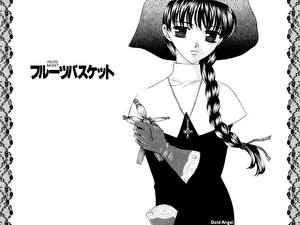 Picture Fruits Basket Anime
