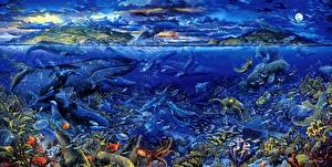 Hintergrundbilder Unterwasserwelt
