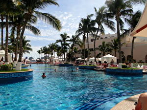 Picture Resorts Pools Palm trees  Cities