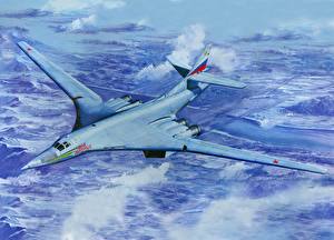 桌面壁纸，，飛機，绘制壁纸，Tu-160海盗旗战略轰炸机，航空