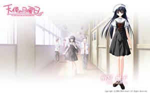 Desktop hintergrundbilder Ef - a tale of memories Anime Mädchens