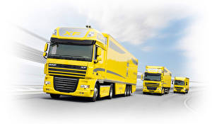 Fondos de escritorio Camion DAF Trucks automóvil