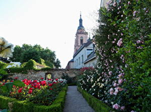 Bakgrunnsbilder Park Tyskland Gardens Eltville castle Natur