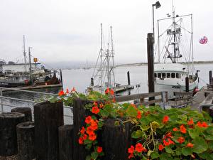 Bakgrunnsbilder Kyst Småbåthavnen Morro Bay fishing docks Natur