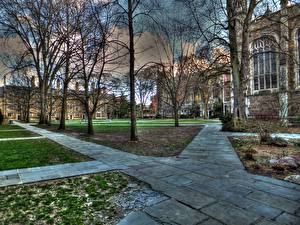 Bureaubladachtergronden Verenigde staten Michigan University of Michigan Law School Quadrangle Steden