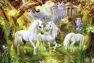 Wallpaper Magical animals Unicorns Fantasy