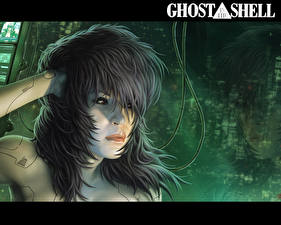 Bakgrundsbilder på skrivbordet Ghost in the Shell Kusanagi Motoko Unga_kvinnor