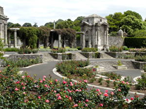 Bakgrunnsbilder Park Dublin Irland Memorial Rose Garden Natur