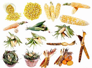 Fotos Gemüse Mais Lebensmittel