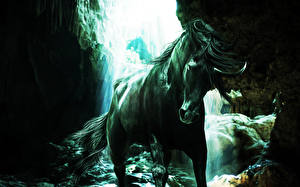 Hintergrundbilder Magische Tiere Einhorn Fantasy