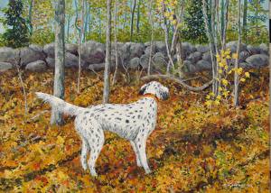 Wallpapers Dogs Pictorial art English Setter Animals