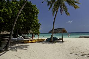 Фотография Тропический Пляж Мальдивы Природа