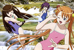 Wallpapers Magical Teacher Negima! Anime Girls