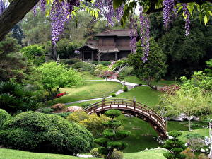 Fotos Garten Kanada Japanese Garden Natur