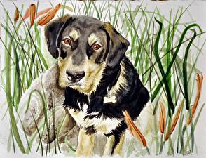 Images Dogs Painting Art animal