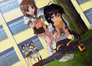 Image Shakugan no Shana Anime Girls
