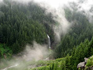 Tapety na pulpit Park Stany zjednoczone Park Narodowy Mount Rainier Maple Falls Natura