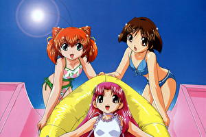Bakgrundsbilder på skrivbordet Angel Tales Anime Unga_kvinnor