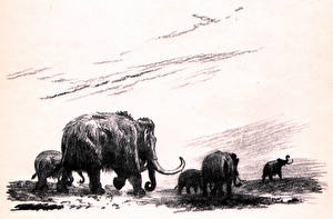Bakgrundsbilder på skrivbordet Forntida djur Mammutar