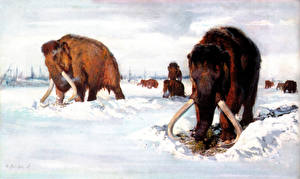 Hintergrundbilder Alte Tiere Mammute