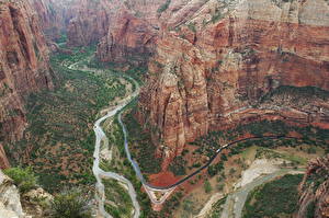 桌面壁纸，，公园，錫安國家公園，美国，峡谷，Utah，大自然