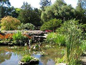 Bakgrundsbilder på skrivbordet Trädgård En damm Kanada Royal Botanical Gardens, Ontario Natur