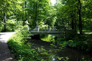 Bakgrunnsbilder Park München Tyskland En bro Nymphenburg park Natur