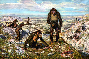桌面壁纸，，绘画，Zdenek Burian，Australopithecinae，