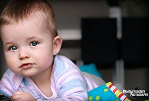 Papel de Parede Desktop Bebê Ver criança