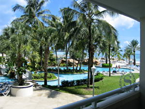 桌面壁纸，，度假村，泳池，棕榈科，Bahamas，城市