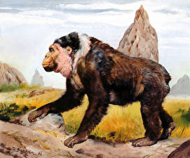 Bakgrunnsbilder Maleri Zdenek Burian Gigantopithecus blacki