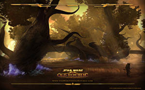 Fonds d'écran Star Wars Star Wars The Old Republic Voss jeu vidéo