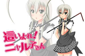 Hintergrundbilder Haiyoru! Nyaru-Ani Anime Mädchens