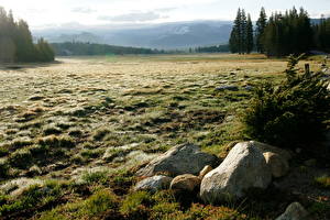 Bakgrundsbilder på skrivbordet Park USA Yosemite Kalifornien Tuolumne Meadows Natur