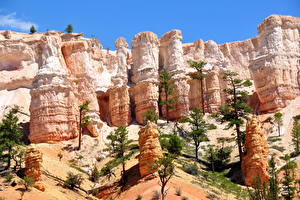 Bakgrundsbilder på skrivbordet Parker Kanjon Bryce Canyon [USA, Utah] Natur
