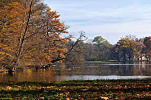 Обои Парки Мюнхен Германия Озеро Nymphenburg park Природа