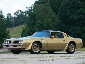 Picture Pontiac Firebird Trans Am Y-88 Gold Special Edition 1978