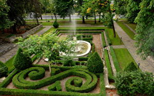 Bakgrundsbilder på skrivbordet Trädgård Wrocław Polen Botanical Garden of Wroclaw University Natur