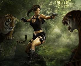 Bakgrundsbilder på skrivbordet Tomb Raider Tomb Raider Underworld Lara Croft dataspel Unga_kvinnor