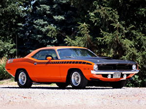 Bakgrunnsbilder Plymouth AAR Cuda 1970 1 Biler
