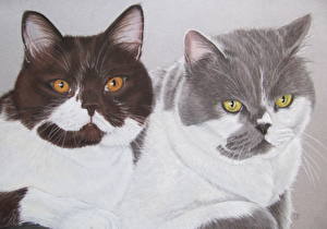 Картинка Кошка Рисованные Животные