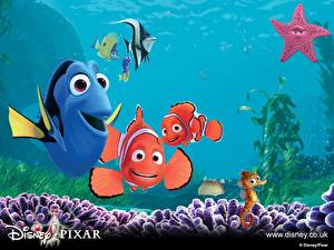 Fondos de escritorio Disney Buscando a Nemo Animación