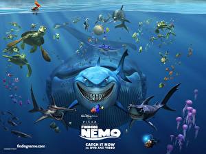 Image Disney Finding Nemo
