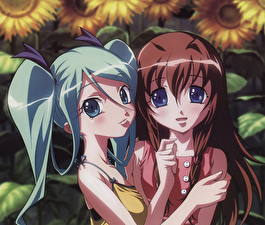 Desktop hintergrundbilder Uta-Kata Anime Mädchens