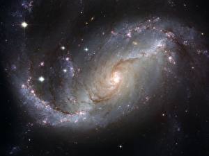 Fondos de escritorio Nebulosa en el espacio Estrella  Сosmos