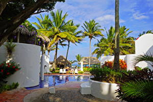 Hintergrundbilder Resort Palmen