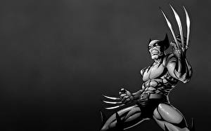 Bakgrundsbilder på skrivbordet Superhjältar Wolverine superhjälte Fantasy