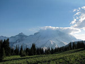 Papel de Parede Desktop Parques Montanhas EUA Parque Monte Rainier Washington Naturaleza