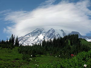 Bakgrundsbilder på skrivbordet Parker Berg USA Mount Rainier nationalpark Washington Natur