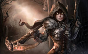 Bakgrundsbilder på skrivbordet Diablo Diablo III spel Fantasy Unga_kvinnor